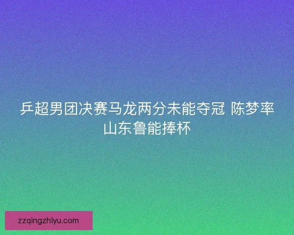 乒超男团决赛马龙两分未能夺冠 陈梦率山东鲁能捧杯